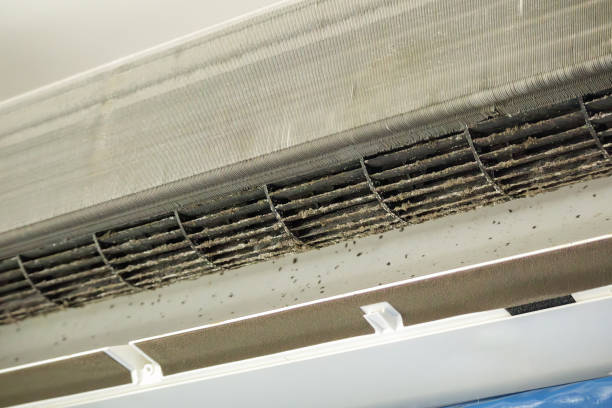 Best Ventilation Cleaning Services  in Freeport, PA